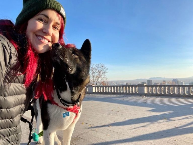 Guide to Traveling with a Large Dog