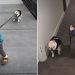 Video of a Dog Being Walked by a Kid Is Everything
