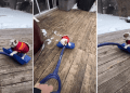 Dog Is a Bit Too in Love With the Snow Shovel