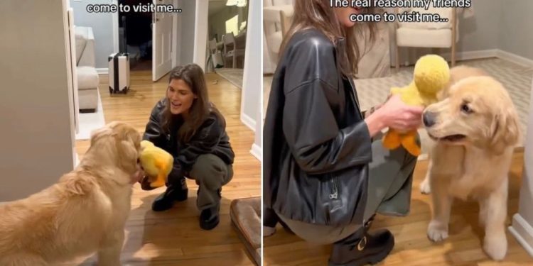 Video: Dog Mom Reveals Real Reason Friends Come To Visit Her