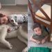 Video: Husky’s Love for Little Boy Doesn’t Need Words
