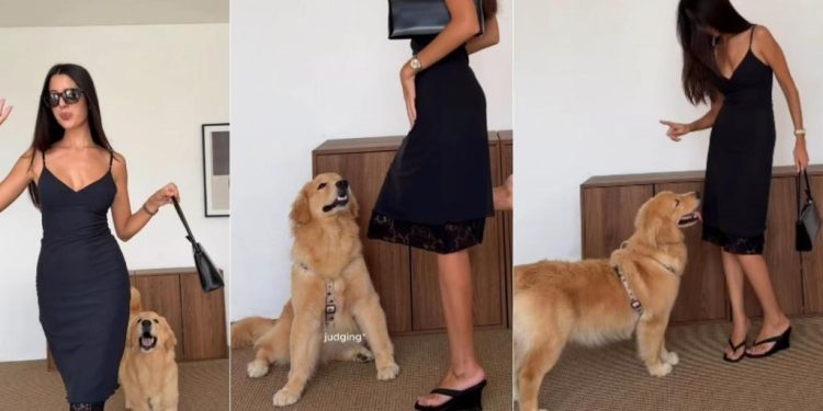 Video: Golden Retriever Hijacks Mom’s Fit Check & Demands Attention