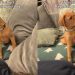 Video: Vizsla Labrador Mix Puppy Reacts to Owner Mimicking Him