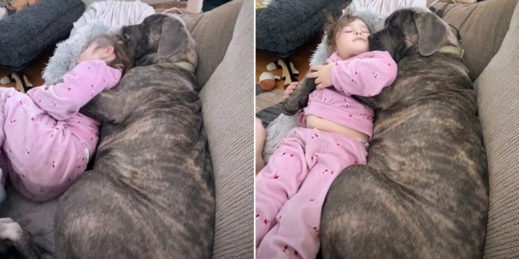 Video: Dog & Kid Show How to Spend Sunday Perfectly