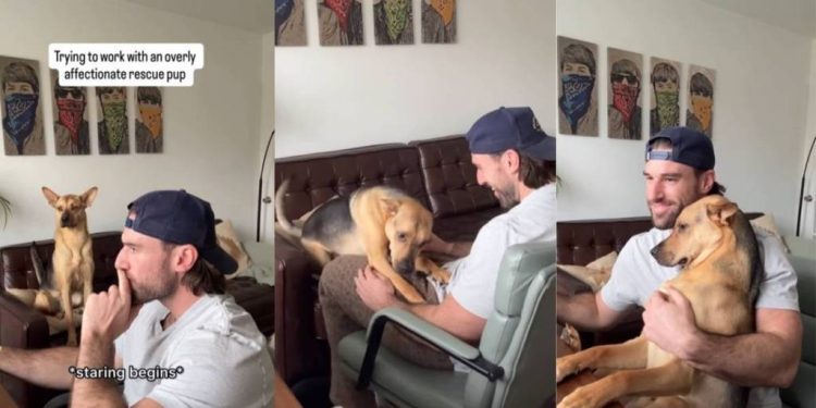 ‘Overly Affectionate’ Rescue Pup Can’t Stop Staring at Dad in Adorable Video
