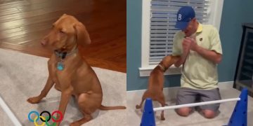 Video: Dog Competes With Herself in Homemade Winter Olympics