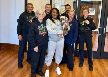 Dog Missing for 2 Years Found 1,000 Miles Away, Reunited With Owner