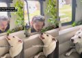 Video: Dog Doesn’t Want Dad to Leave for Work