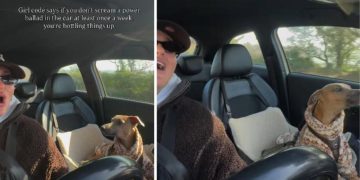 Dog Joins Owner’s Power Ballad Rendition in Viral Video