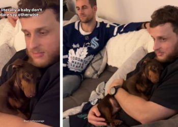 Dog Is Literally Just a Baby, All He Wants Is Beard Scratches