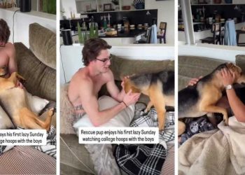 Rescue Pup Acts Like He’s Known Owner’s Friends Forever