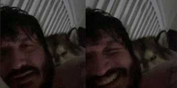 Dog Sleeps & Snores Next to Owner Like He Pays the Rent in Funny Video
