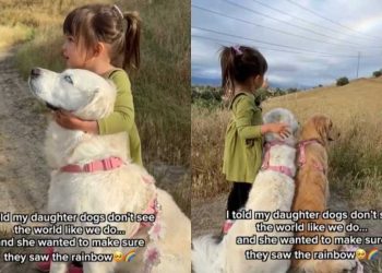 Little Girl Taking Dogs To See the Rainbow Feels Just Like a Fairytale