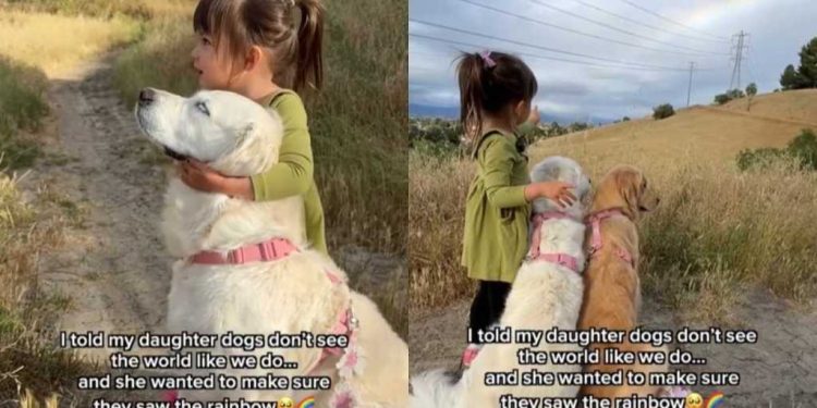 Little Girl Taking Dogs To See the Rainbow Feels Just Like a Fairytale