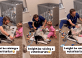 Dog Has the Best Time When Little Girl & Dad Play Doctor With Him